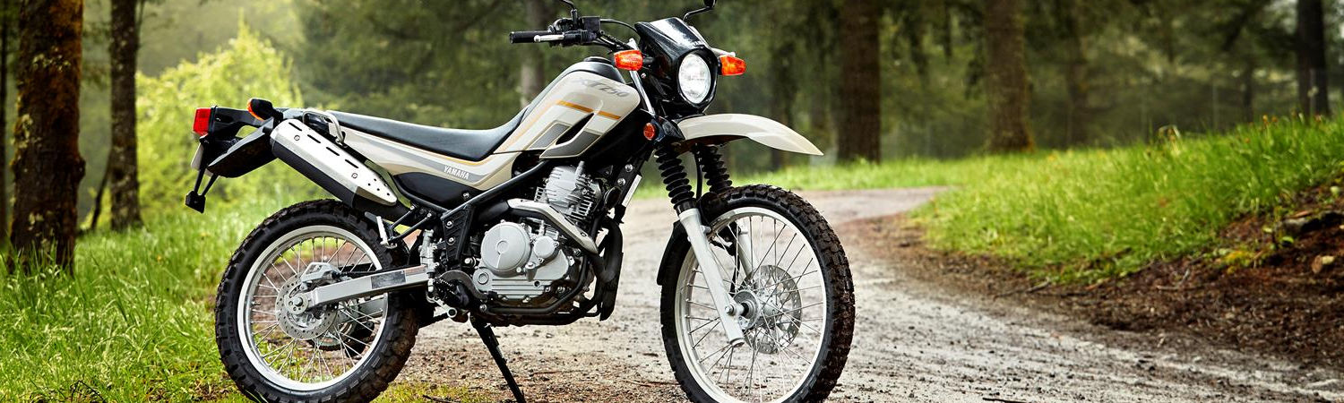 2020 Yamaha XT250 for sale in Ebensburg Yamaha, Ebensburg, Pennsylvania